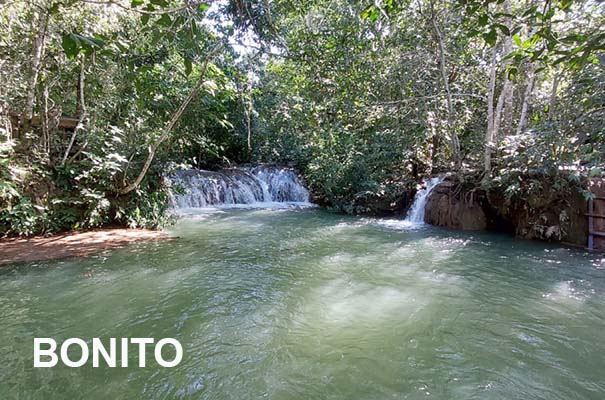 Bonito