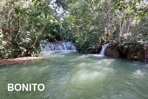 Bonito